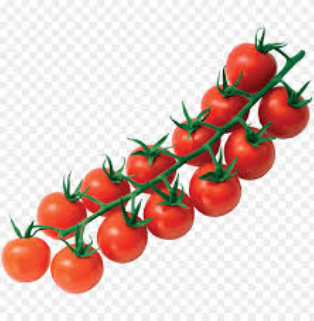 FRESH CHERRY PLUM TOMATO